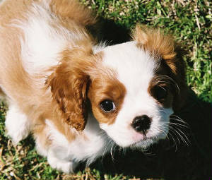 winston-aug-07.jpg